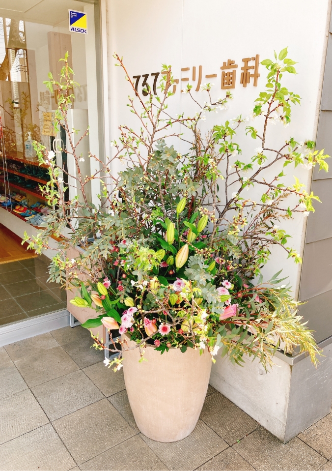 春の活け活け込み